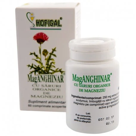 Mag-Anghinar, 60 comprimate, Hofigal
