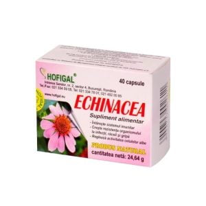 Capsulele Echinacea, 40 capsule, Hofigal